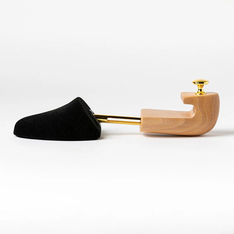 Sponge shoe tree